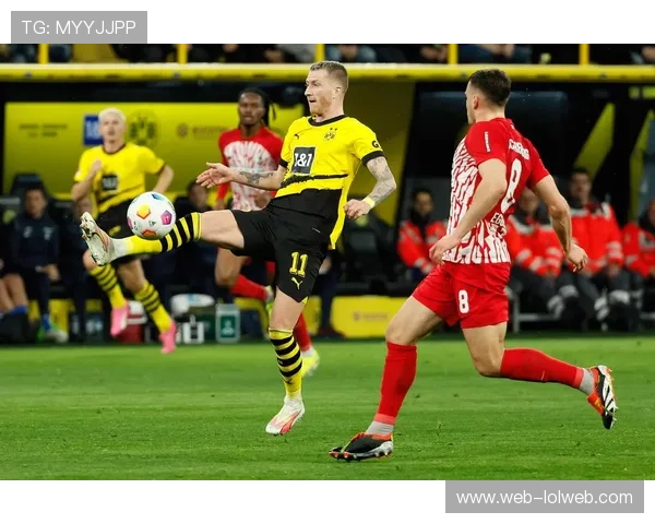 德甲第10轮比赛日前,各主场球迷热情高涨 德甲第10轮比赛日前,各主场球迷热情高涨